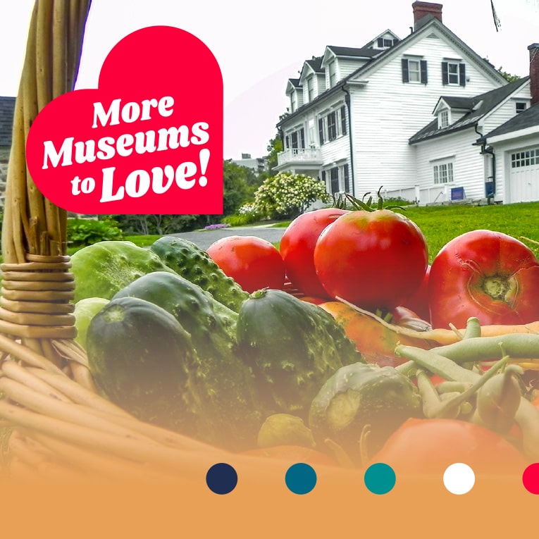 Social media banner design for Ottawa Museum Network